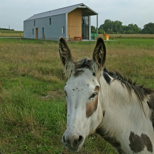 Farmer's house 