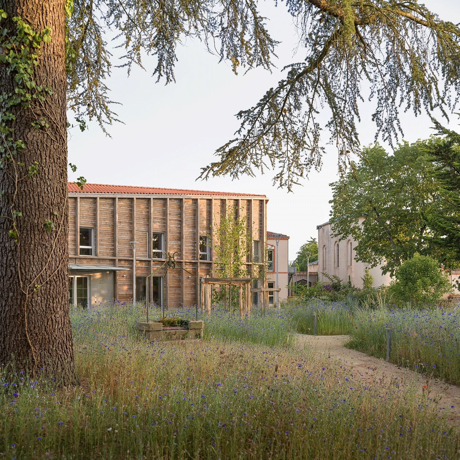 EHPAD Clisson (6)