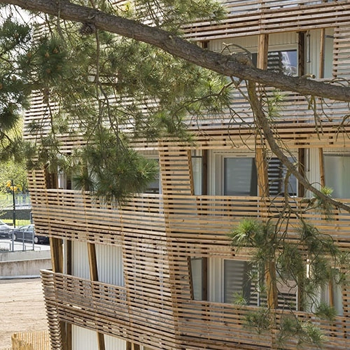 Woody Wood